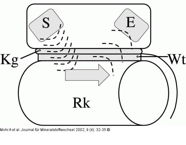 Densitometrie - Quantitativer Ultraschall