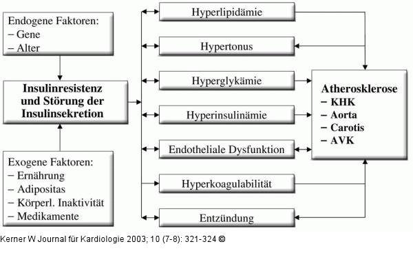 Insulinresistenz - Atherosklerose