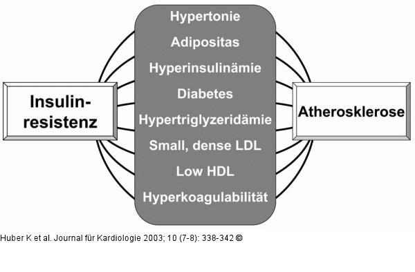 Insulinresistenz - Atherosklerose