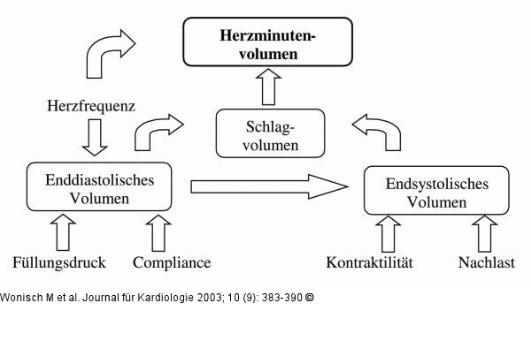 Spiroergometrie - Sauerstoffaufnahme