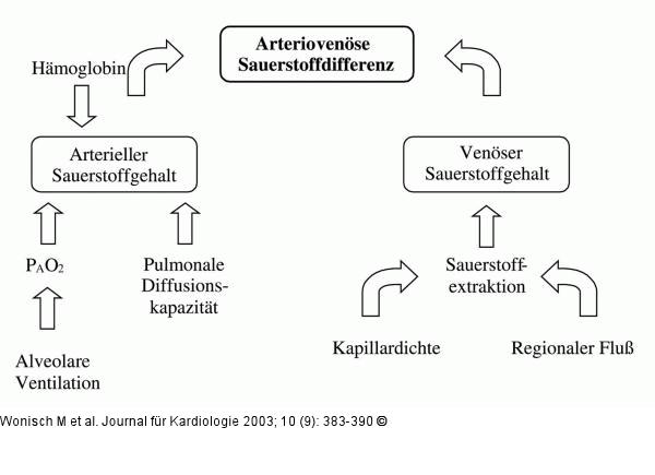Spiroergometrie - Sauerstoffaufnahme