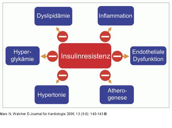 Glitazone - Modulatorischer Effekt