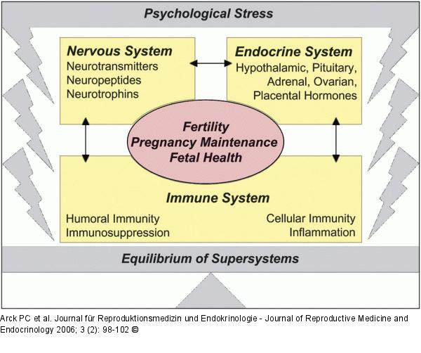 Stress response