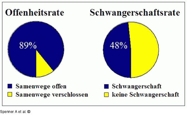 Samenwege - Schwangerschaftsrate