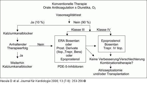 PAH - Therapie