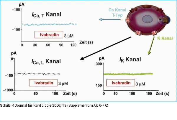 Ivabradin - Ionenkanle