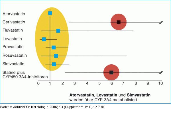 Statin - Muskelschdigung