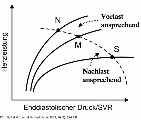 Herzinsuffizienz