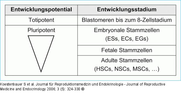 Stammzellen