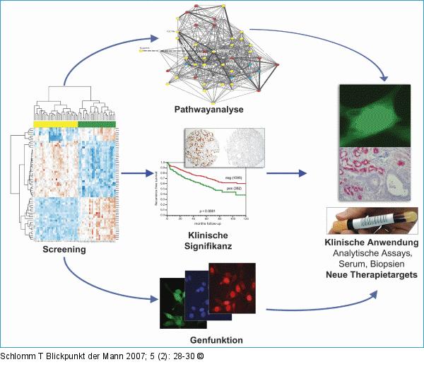 High-throughput-Forschung