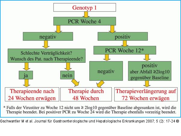 Empfohlene Vorgangsweise bei Genotyp 1