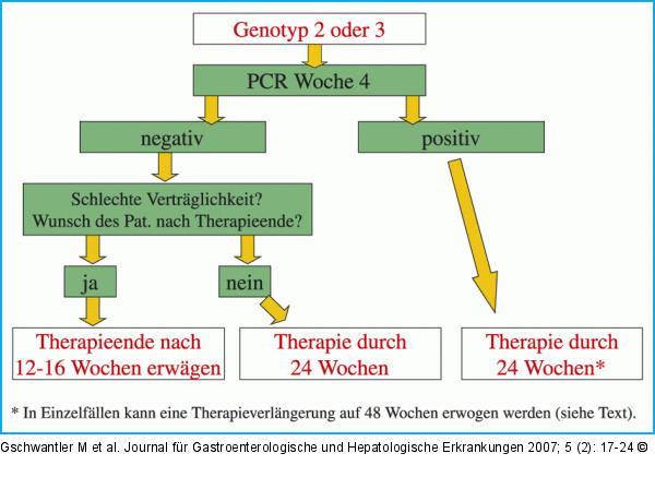 Empfohlene Vorgangsweise bei Genotyp 2 und 3