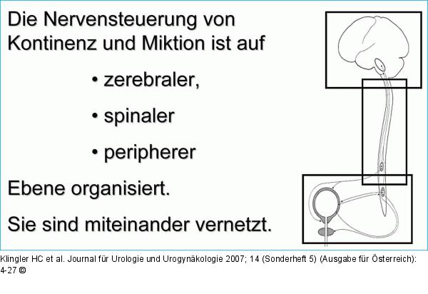 3-Etagenmodell