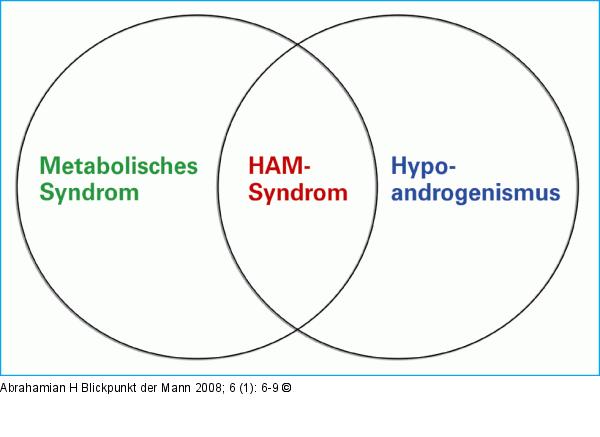 Metabolisches Syndrom - Hypoandrogenismus