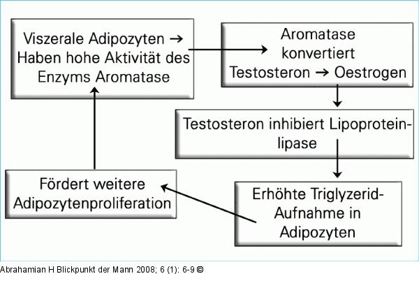 Hypoandrogenismus