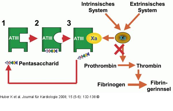 Pentasaccharide