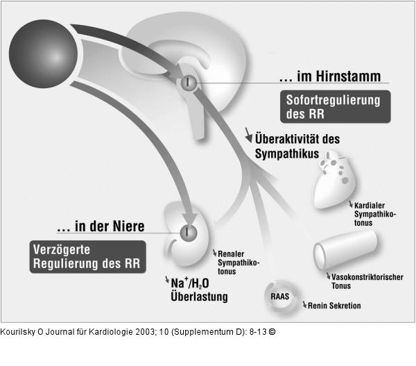 Hypertonie - Niere - Rilmendin