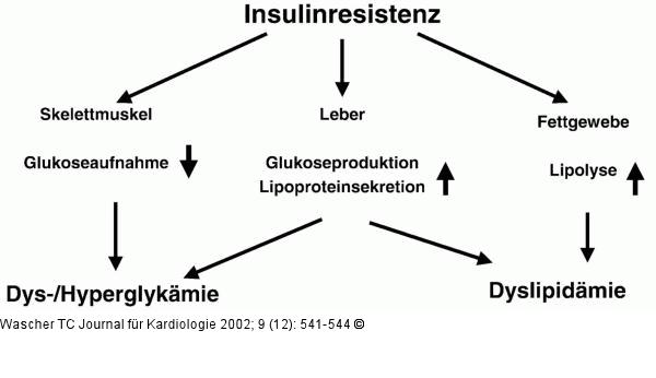 Insulinresistenz