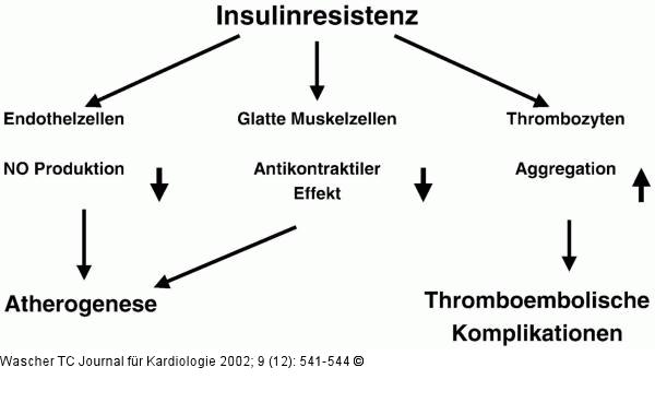 Insulinresistenz