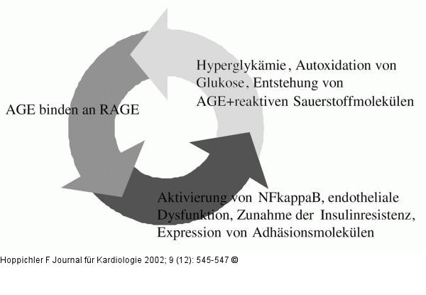 Hyperglykmie - oxidativer Stre - vaskulres Risiko