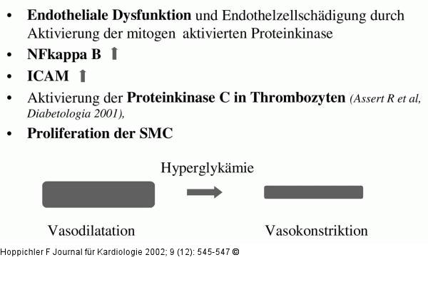 Hyperglykmie - Gefrisiko