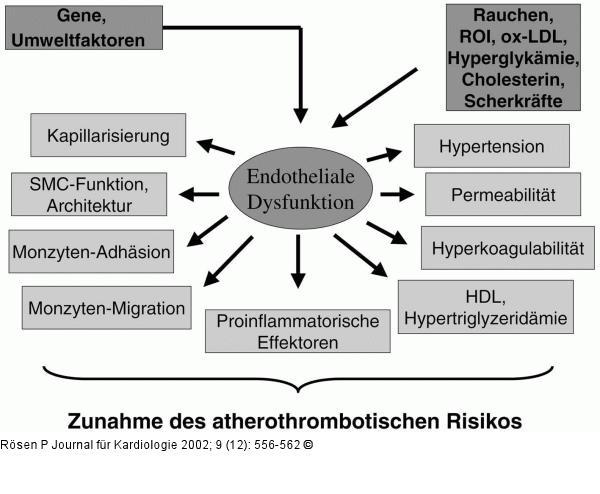Atherothrombotisches Risiko