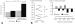 Abb. 2: Pravastatin - C-reaktives Protein