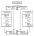 Abb. 1: IONA-Studie - Studiendesign