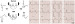 Abb. 3: LSB
