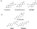 Aktuelles Bild - Abb. 5: ER-beta-Agonist