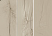 Aktuelles Bild - Abb. 2: Morbus embolicus