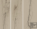 Aktuelles Bild - Abb. 6: Morbus embolicus