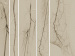 Abb. 10: Morbus embolicus