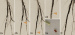 Aktuelles Bild - Abb. 2: Embolieprotektion