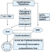 Abb. 1: Hyperandrogenmische Ovarialinsuffizienz