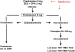 Abb. 3: Hyperandrogenmische Ovarialinsuffizienz