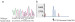 Abb. 4a-b: PCR