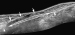 Abb. 6: Nervus peronaeus