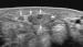 Abb. 8: Nervus medianus
