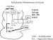 Abb. 2: Kolon - Metabolismus