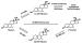 Abb. 1: Tibolon - Metabolismus