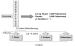 Abb. 2: LIBERATE-Studie