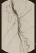 Abb. 1: Arteria femoralis superficialis