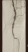 Abb. 3: Arteria poplitea