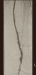 Abb. 9: Arteria femoralis
