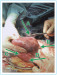 Abb. 1: Damage Control Surgery