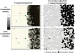 Abb. 4: Eyetracking