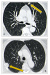 Abb. 1a-b: Nierentumor