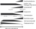 Aktuelles Bild - Abb. 1: Chronische Pankreatitis