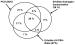Abb. 6: Polyzystisches Ovar-Syndrom - Endokrinologie